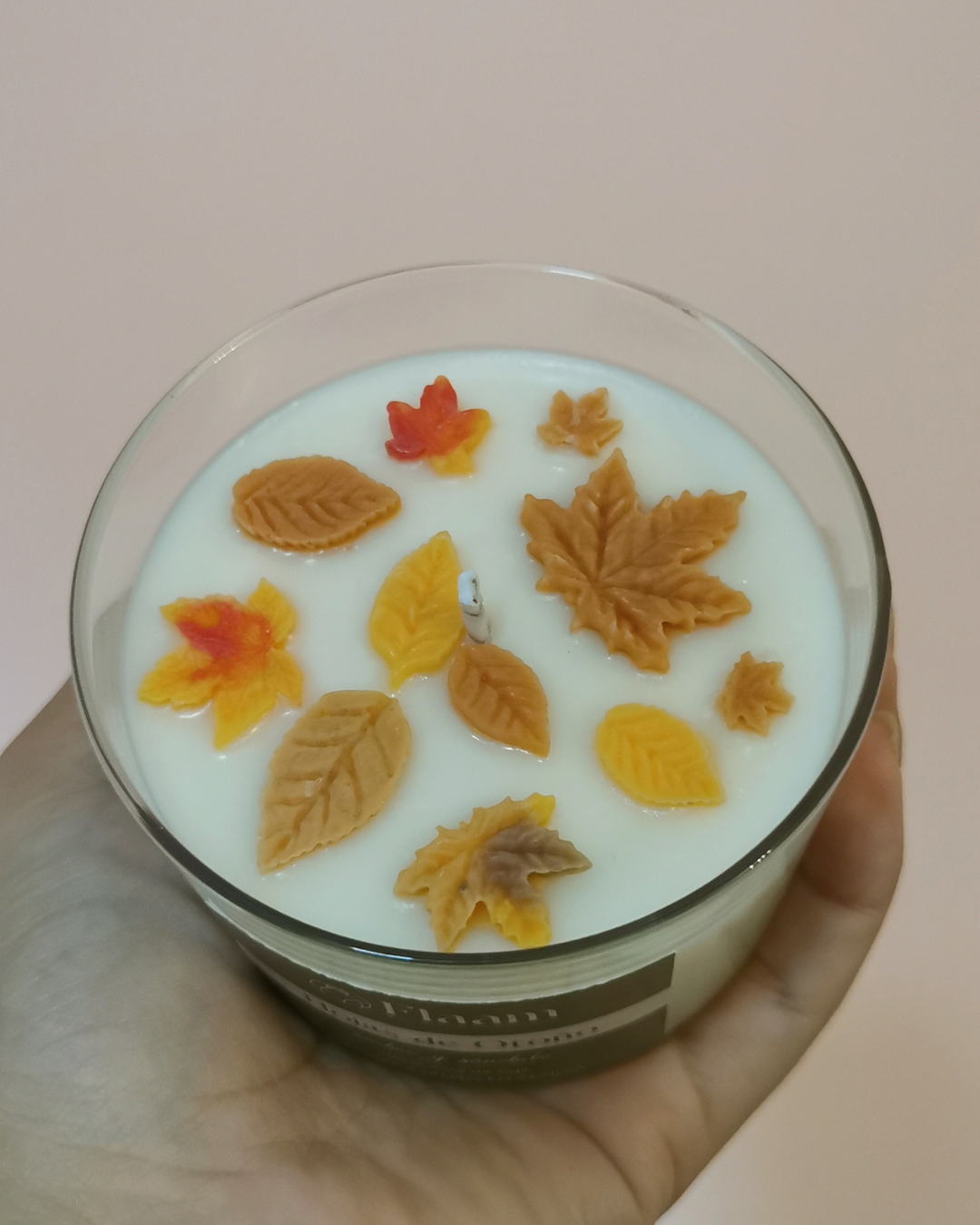 Hojas de Otoño