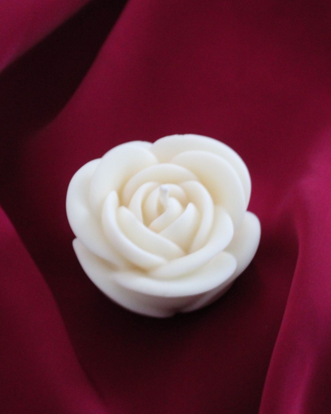 Rosa decorativa