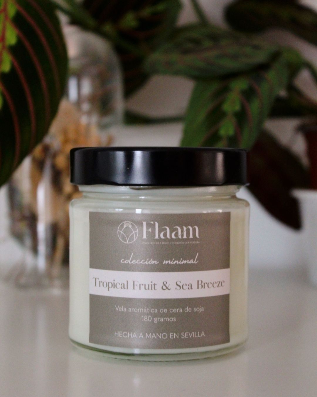 Vela tarro aroma Tropical Fruit & Sea Breeze