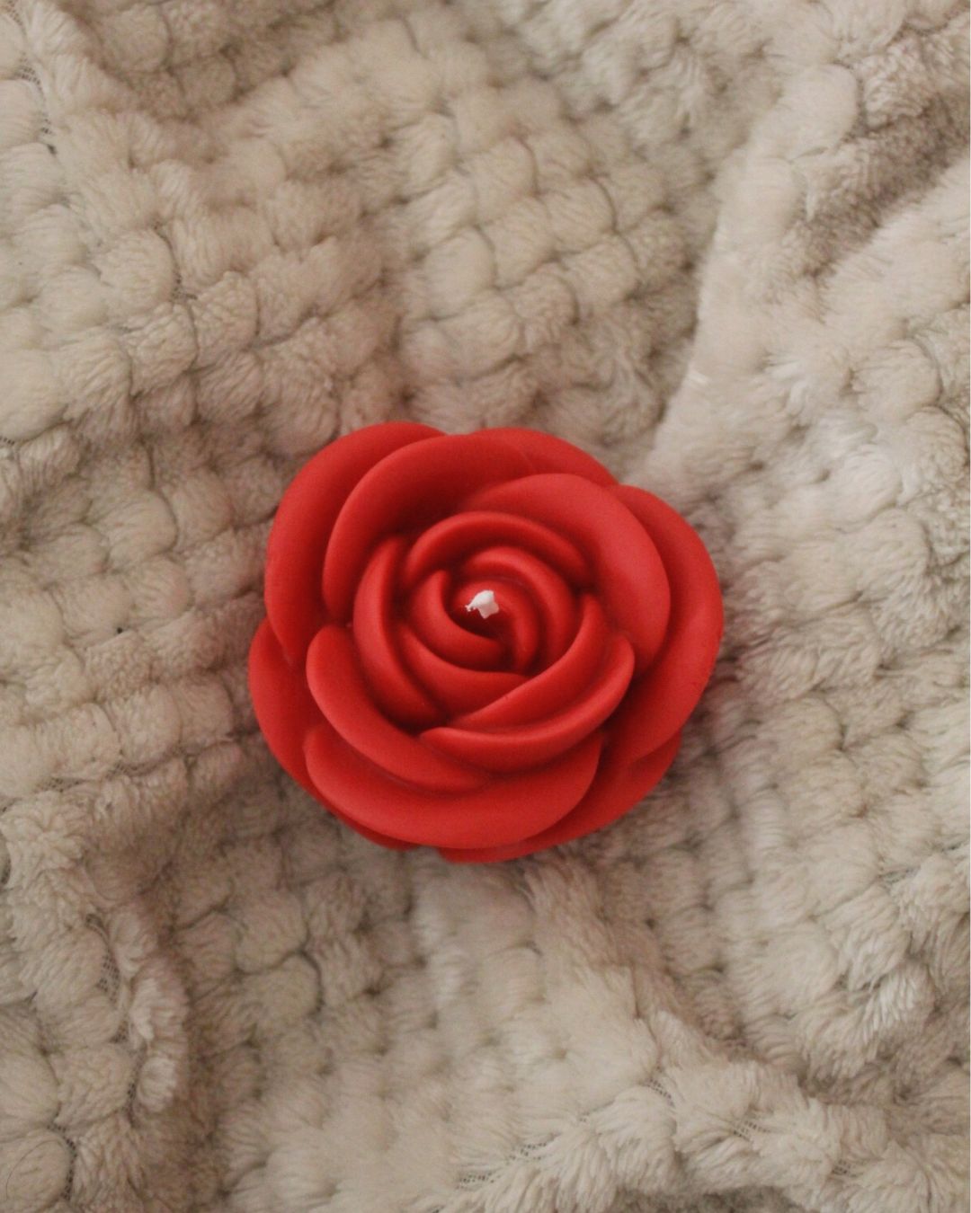 Rosa decorativa