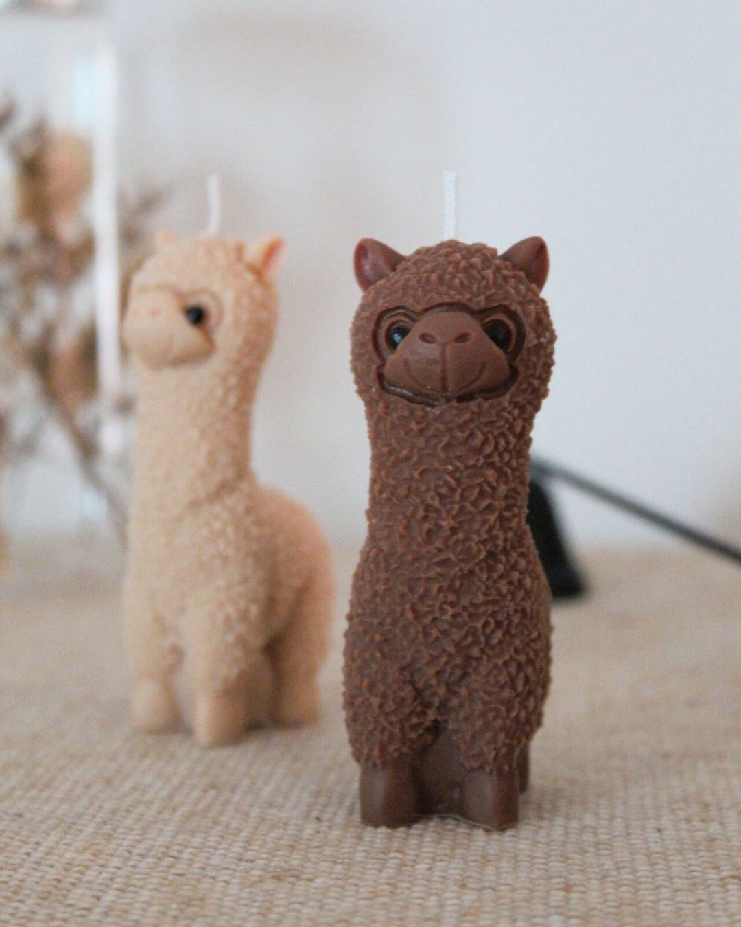 Alpaca