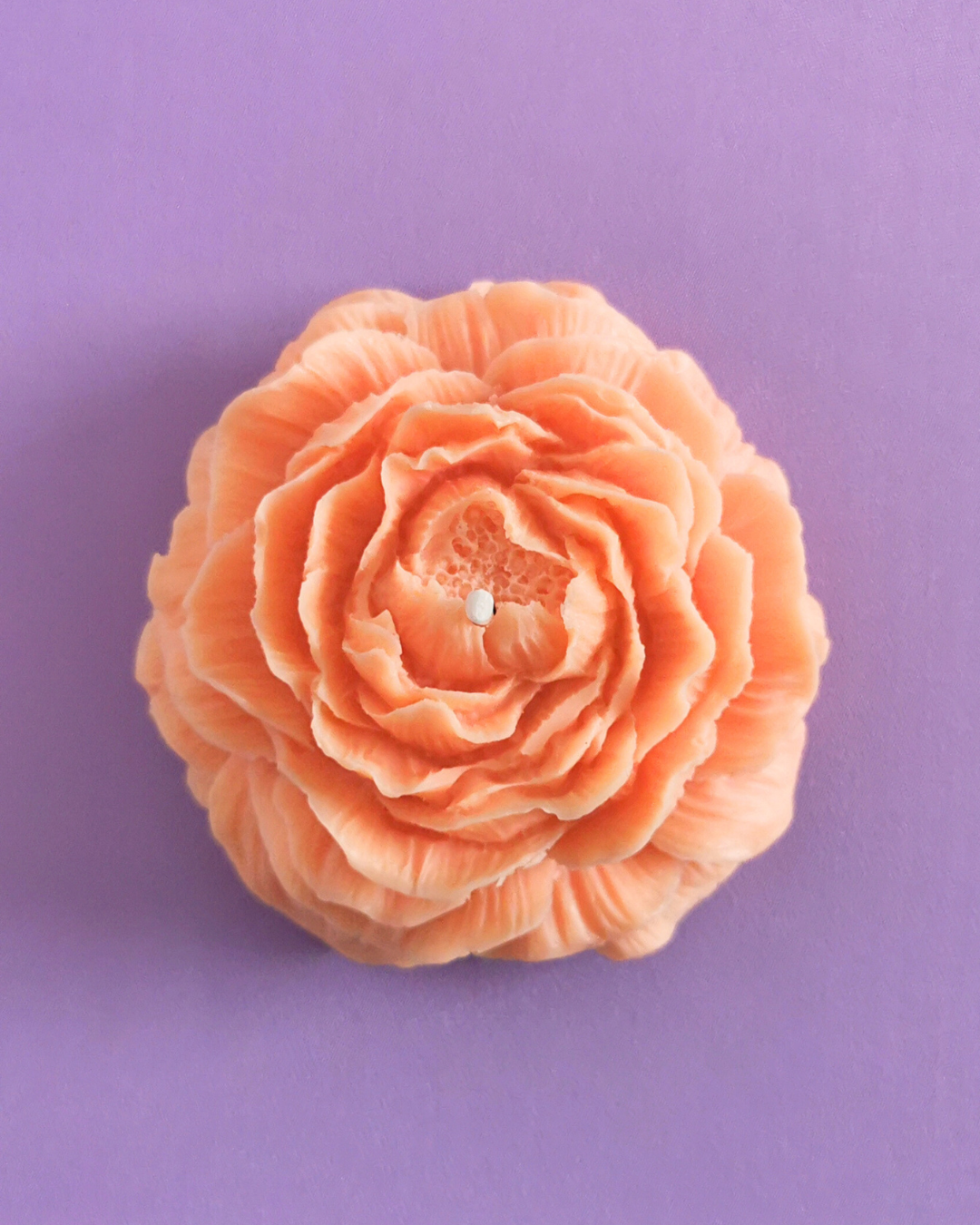 Peonia decorativa y aromática