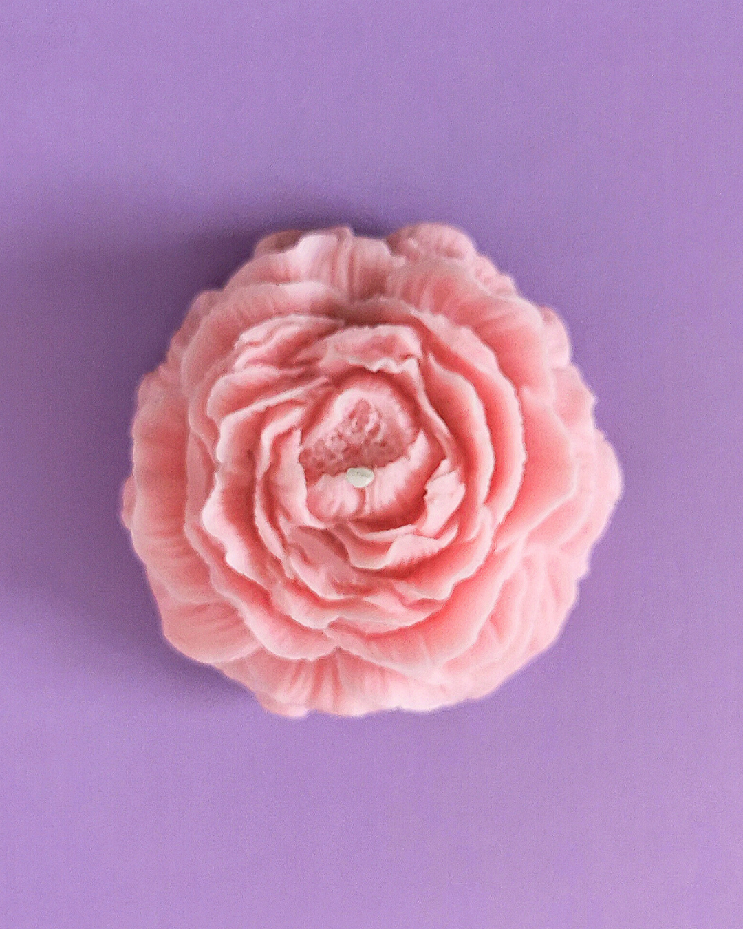 Peonia decorativa y aromática