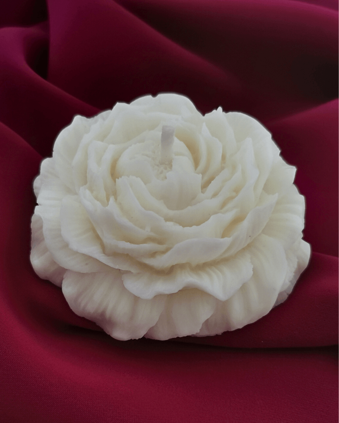 Peonia decorativa y aromática