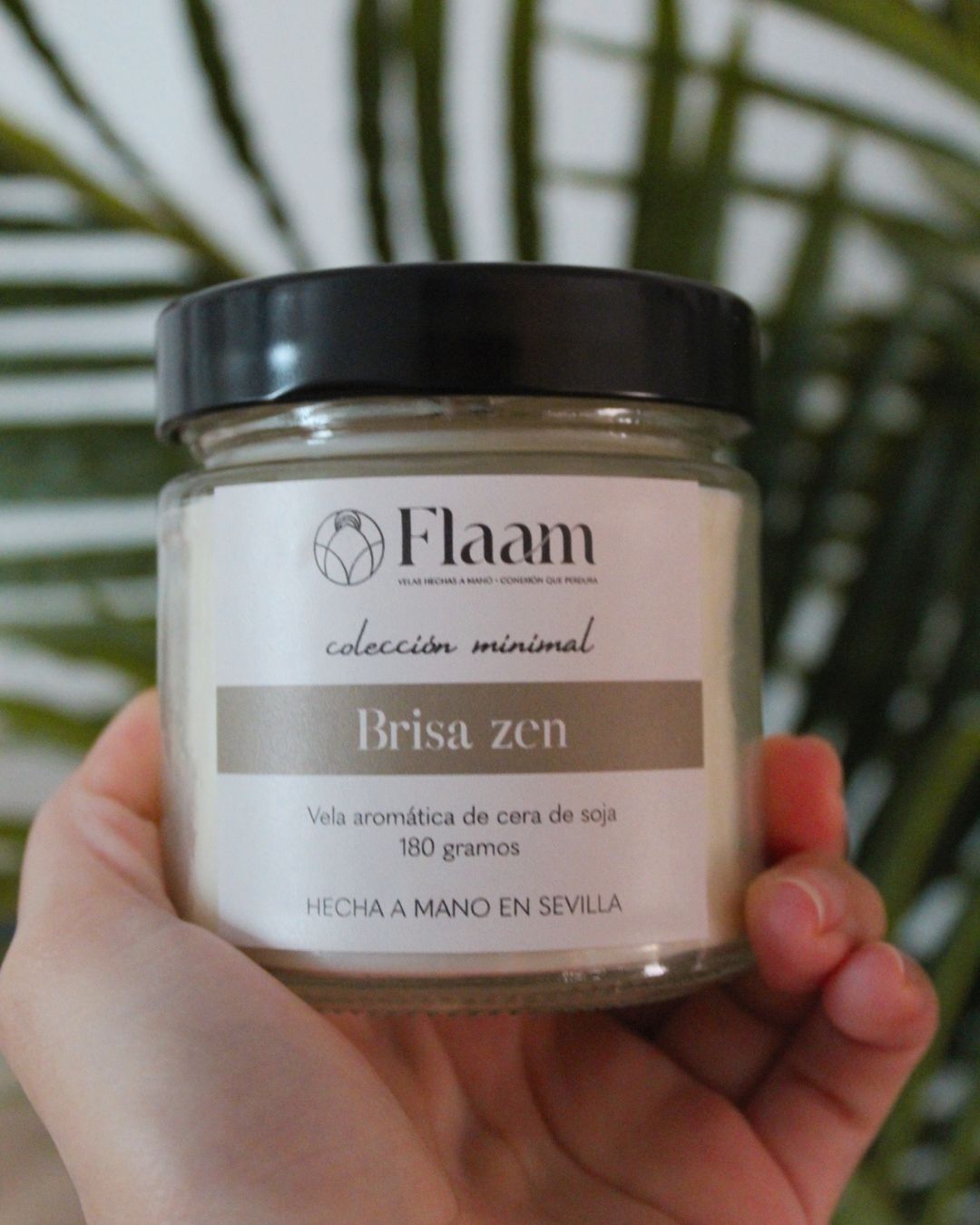 Vela tarro aroma Brisa Zen