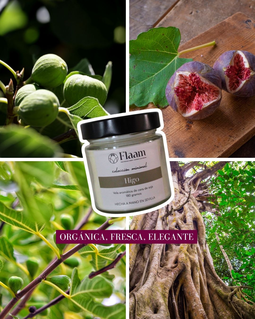 Vela tarro aroma Higo