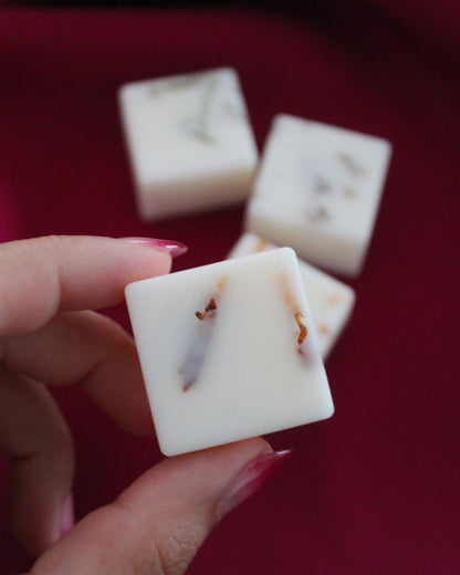 Set de wax melts: Citric Energy