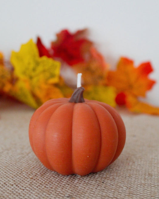 Calabaza decorativa naranja