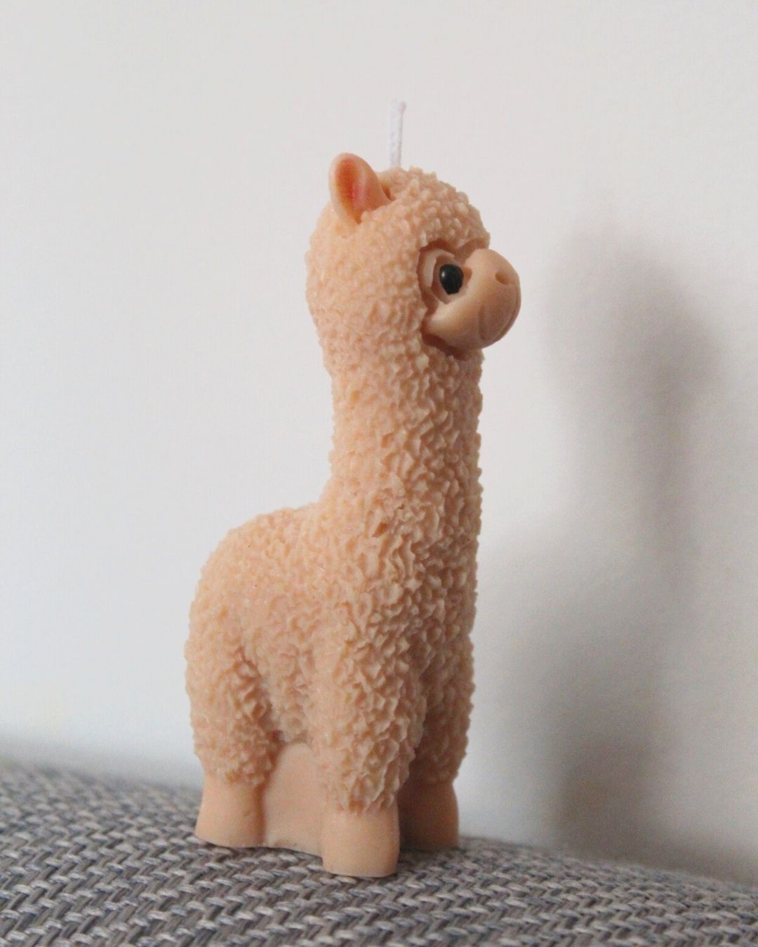 Alpaca