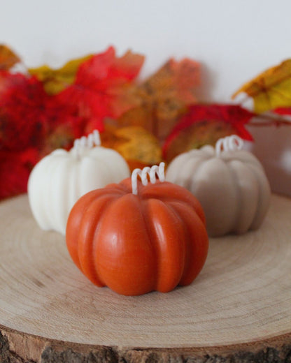 Set calabazas decorativas