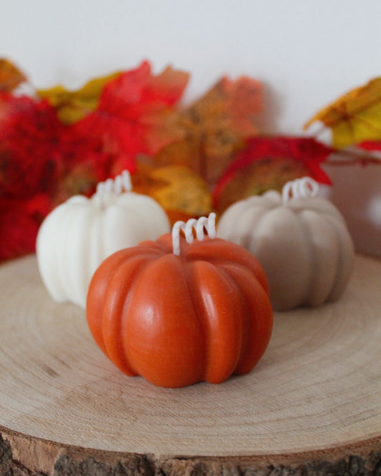 Set calabazas decorativas