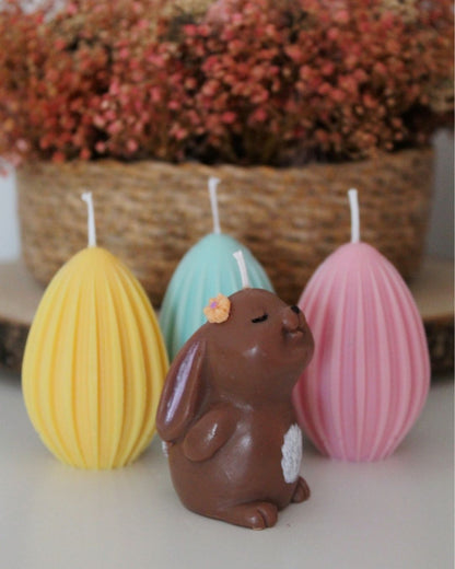 Set Nido de Pascua - Edición Limitada