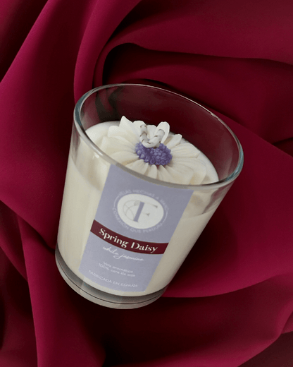Spring Daisy - Botanical Collection
