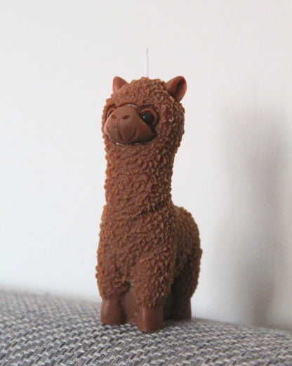 Alpaca
