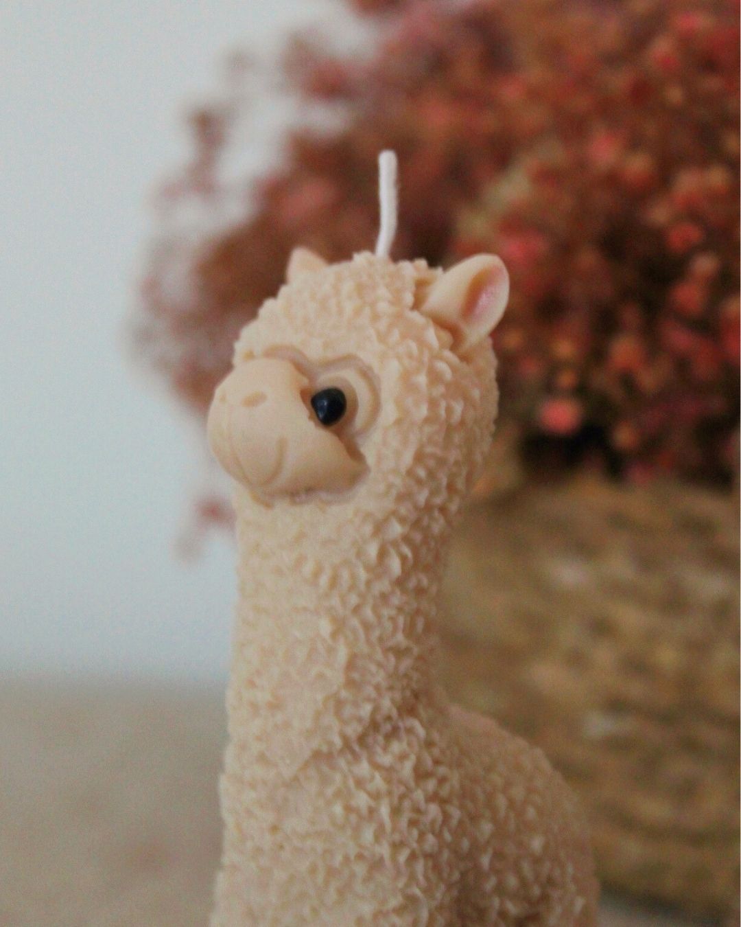 Alpaca