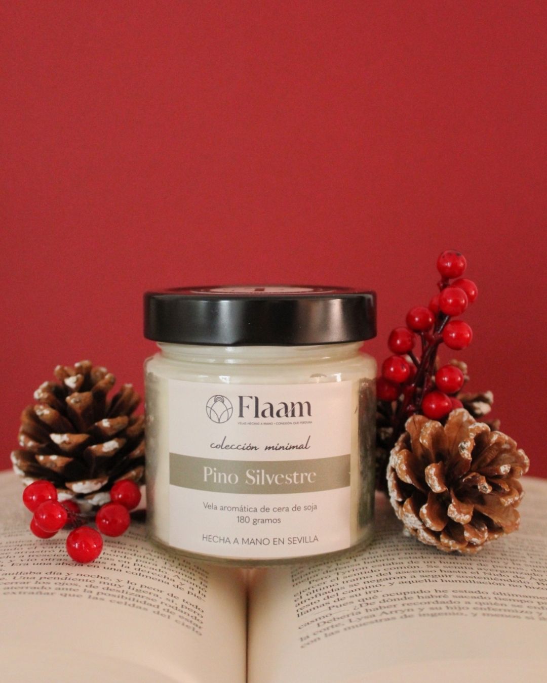 Vela tarro aroma Pino Silvestre