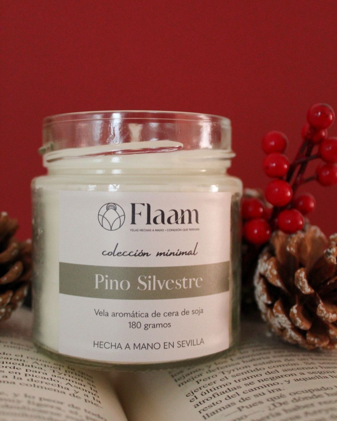 Vela tarro aroma Pino Silvestre