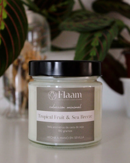 Vela tarro aroma Tropical Fruit & Sea Breeze