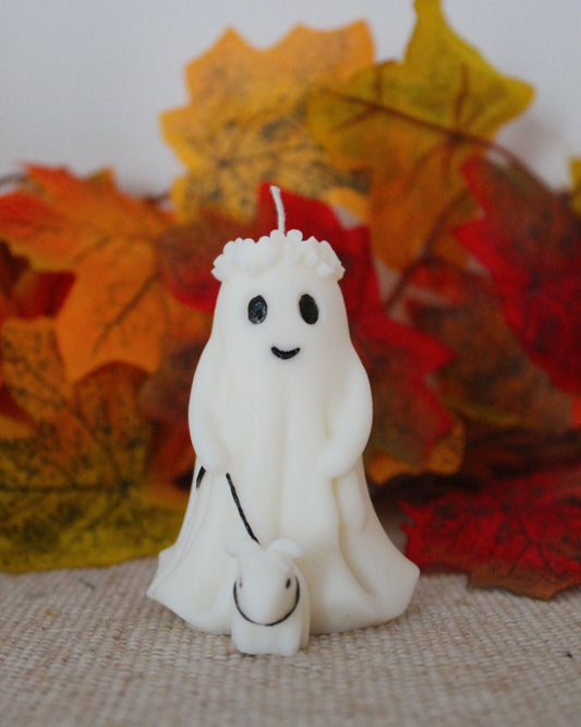 Fantasma paseando perrito