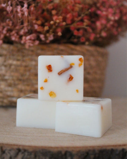 Wax melts: Naranja & Canela